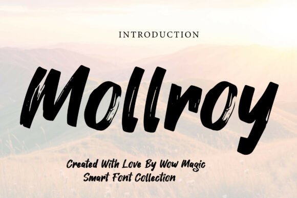 Evaluating Mollroy: When to Choose a Raw Dry Brush Display Font